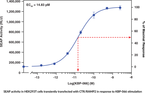 Amylin Receptor 2 (human) Reporter Assay Kit