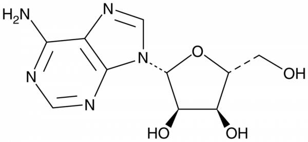 Adenosine