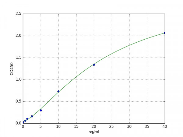 Human Tubulin Polymerization Promoting ProteinTPPP / TPPP ELISA Kit