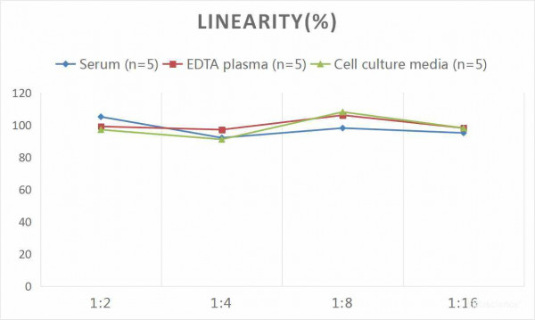 Mouse IL-2 (Interleukin 2) CLIA Kit
