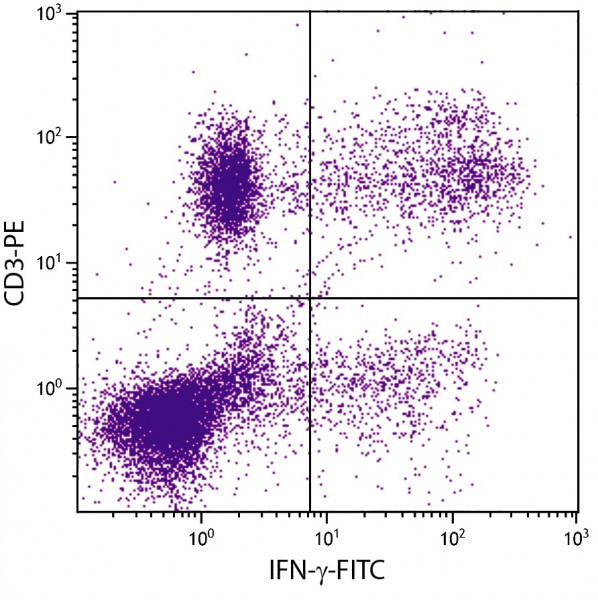 Anti-IFN-gamma (FITC), clone B27