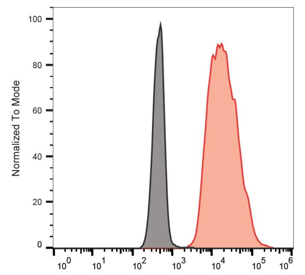 Anti-CD178 / Fas-L, clone NOK-1 (PE )