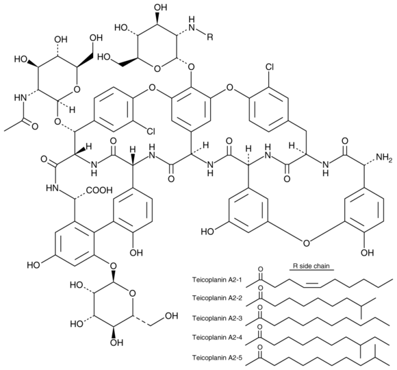 Teicoplanin Complex