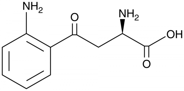 D-Kynurenine