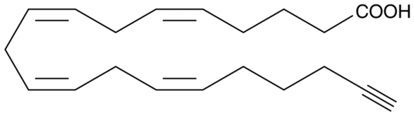 Arachidonic Acid Alkyne