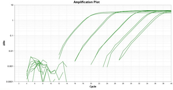 TAQuest(TM) FAST qPCR Master Mix with Helixyte(TM) Green *Low ROX*