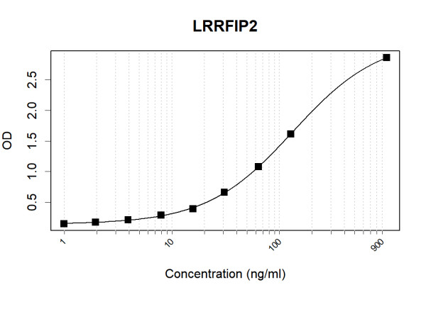 Anti-Human LRRFIP2 Antibody Pair