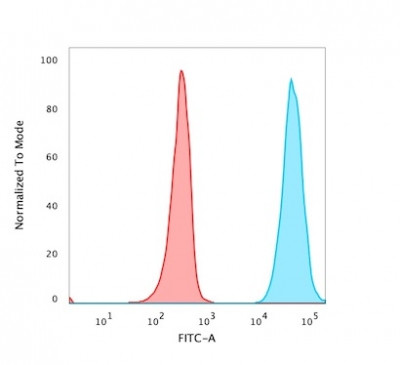 Anti-CD47 / IAP (Integrin Associated Protein), clone B6H12.2