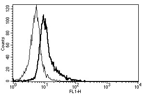 Anti-CD130 / gp130 (azide free), clone B-R3