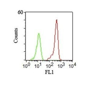 Anti-CD46(122.2), CF568 conjugate, 0.1mg/mL
