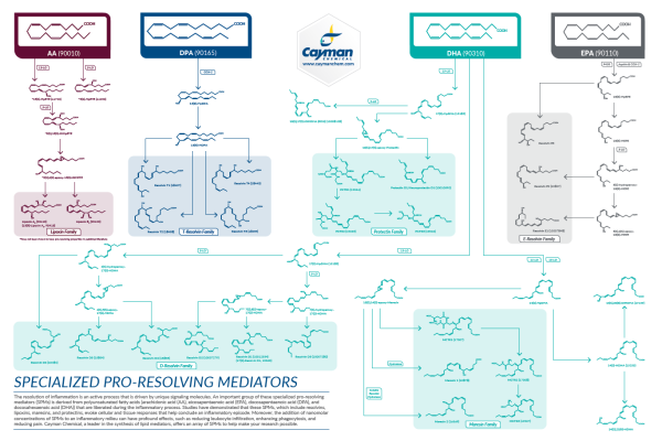 Specialized Pro-Resolving Mediators Poster