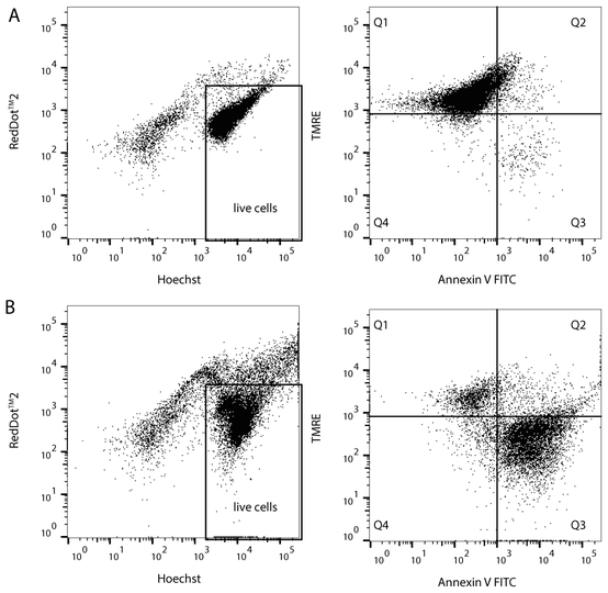 Multi-Parameter Apoptosis Assay Kit