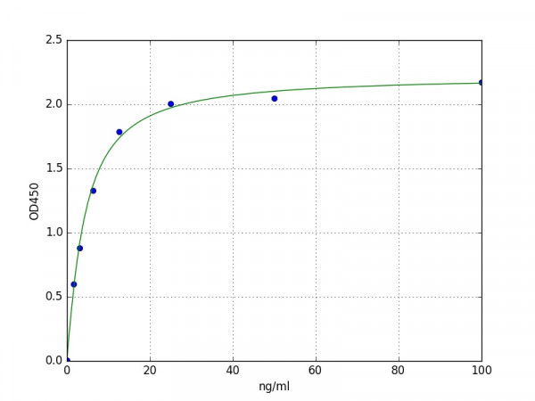 Human Properdin / Complement Factor P ELISA Kit
