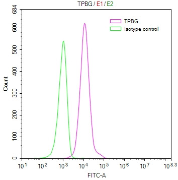 Anti-TPBG, recombinant clone 9H9