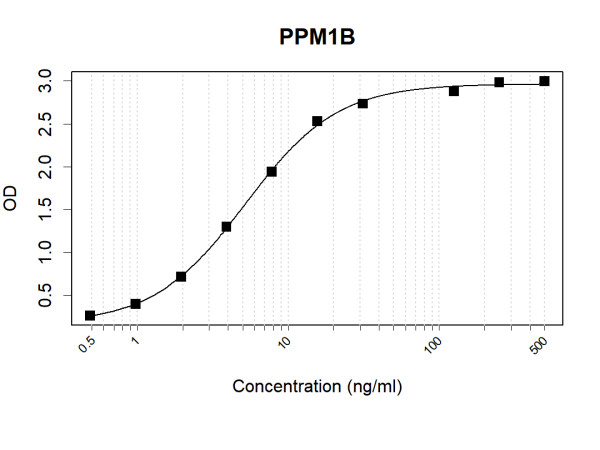 Anti-Human PPM1B Antibody Pair