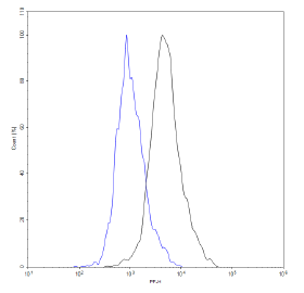 CD22 CHO Recombinant Cell Line (Medium Expression)