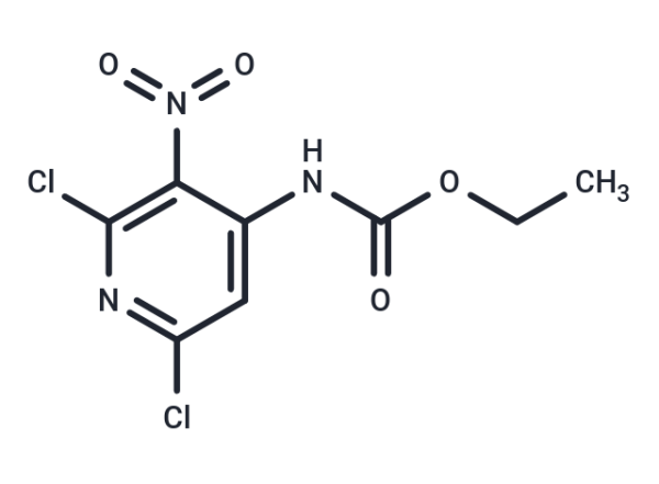 2,4-Dichloro-3-nitro-4-(N-ethoxycarbonyl)aminopyridine