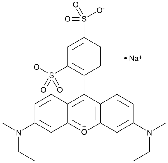 Sulforhodamine B (sodium salt) (technical grade)