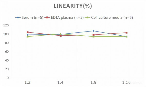 Human HGF (Hepatocyte Growth Factor) CLIA Kit