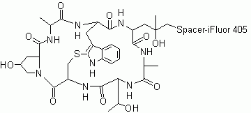 Phalloidin-iFluor(TM) 405 Conjugate