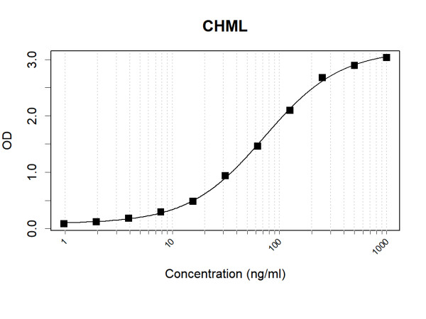 Anti-Human CHML Antibody Pair