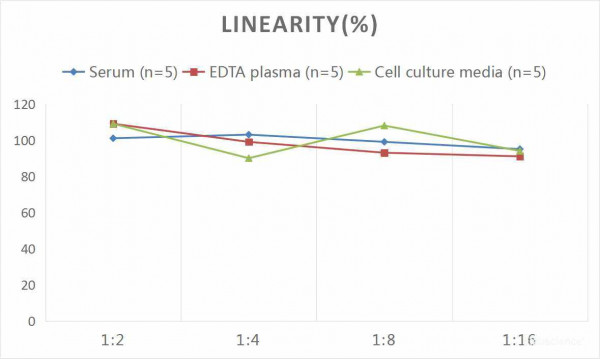 Human HMGB-1 (High Mobility Group Protein B1) CLIA Kit