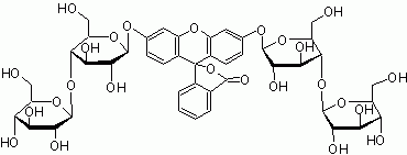 FCB (Fluorescein di-beta-D-cellobioside)