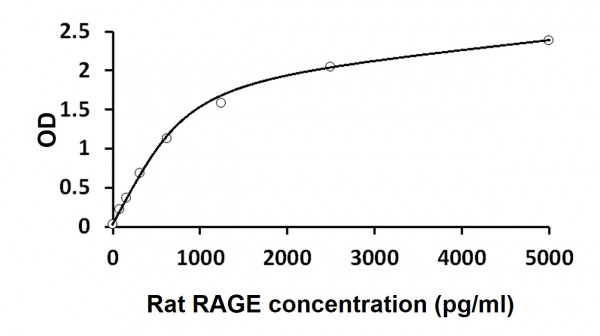 Rat RAGE ELISA Kit
