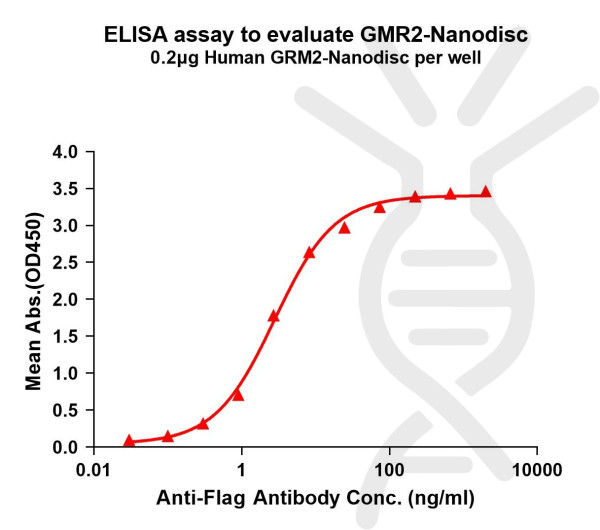 GRM2 (human) full length protein-synthetic nanodisc