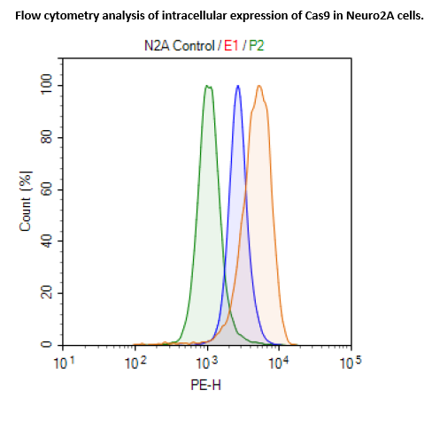 Cas9-Expressing Neuro2a Cell line - Low expression