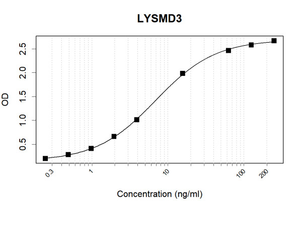 Anti-Human LYSMD3 Antibody Pair