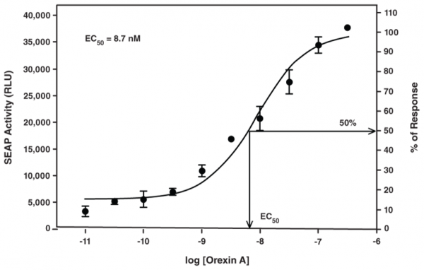 Orexin Receptor 1 STEP(TM) Reporter Assay Kit (Luminescence)