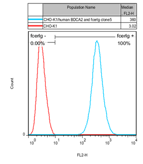 CHO-K1/BDCA2 and FcER1G Stable Cell Line