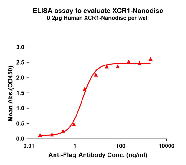 XCR1 (human) full length protein-synthetic nanodisc