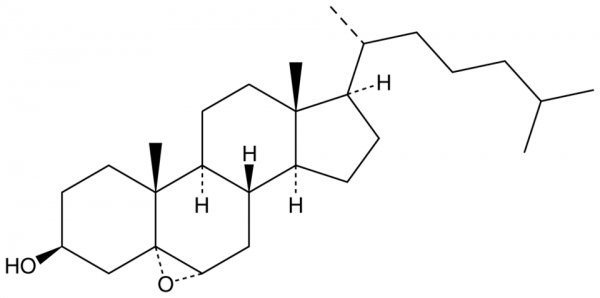 5alpha,6alpha-epoxy Cholestanol
