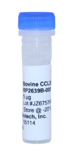 Recombinant Protein, ccl24 bovine (bccCCL24)