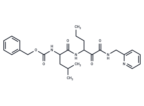 Calpain Inhibitor XII