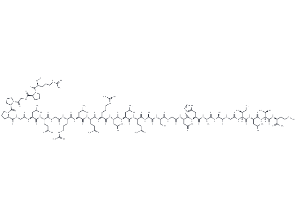 Orexin B, canine