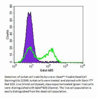 Cell Explorer(TM) Fixable Dead Cell Staining Kit *Red Fluorescence Optimized for Flow Cytometry*