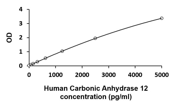 Human CA12 / Carbonic Anhydrase 12 ELISA Kit