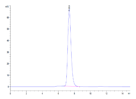 MDL-1/CLEC5A hFc Chimera, Mouse