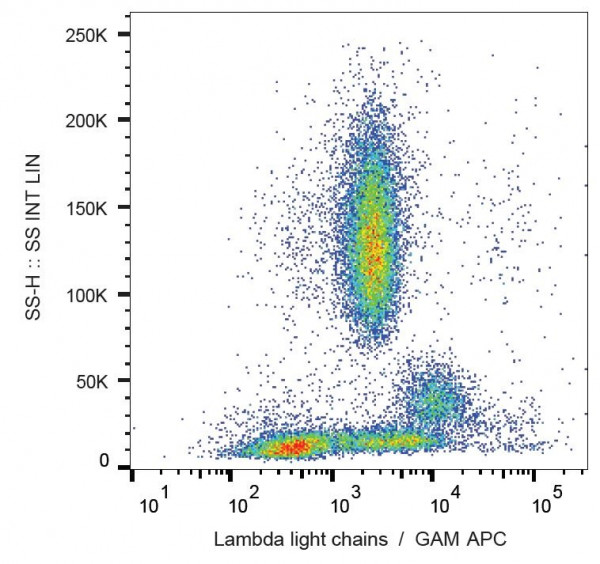Anti-Lambda light chains, clone 4C2