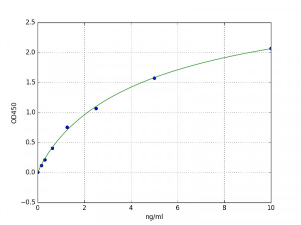 Human DCX / Doublecortin ELISA Kit