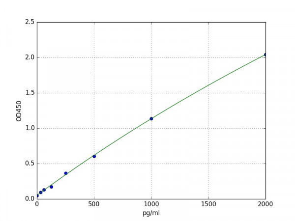 Human PPP2R1A (Serine/threonine-protein phosphatase 2A 65 kDa regulatory subunit A alpha isoform) EL