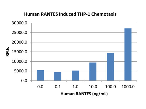 RANTES (CCL5)