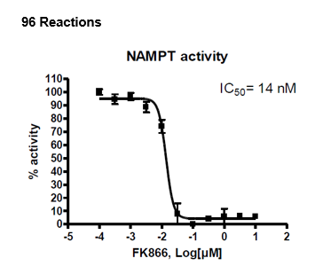 NAMPT Inhibitor Screening Assay Kit