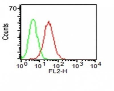 Anti-CD34(ICO-115), CF405S conjugate, 0.1mg/mL
