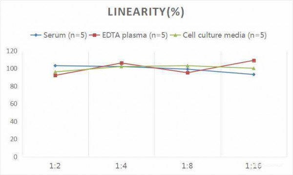 Rat TGF-beta2 (Transforming Growth Factor Beta 2) CLIA Kit
