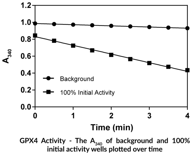 GPX4 Inhibitor Screening Assay Kit 