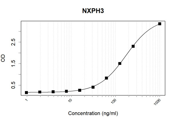 Anti-Human NXPH3 Antibody Pair
